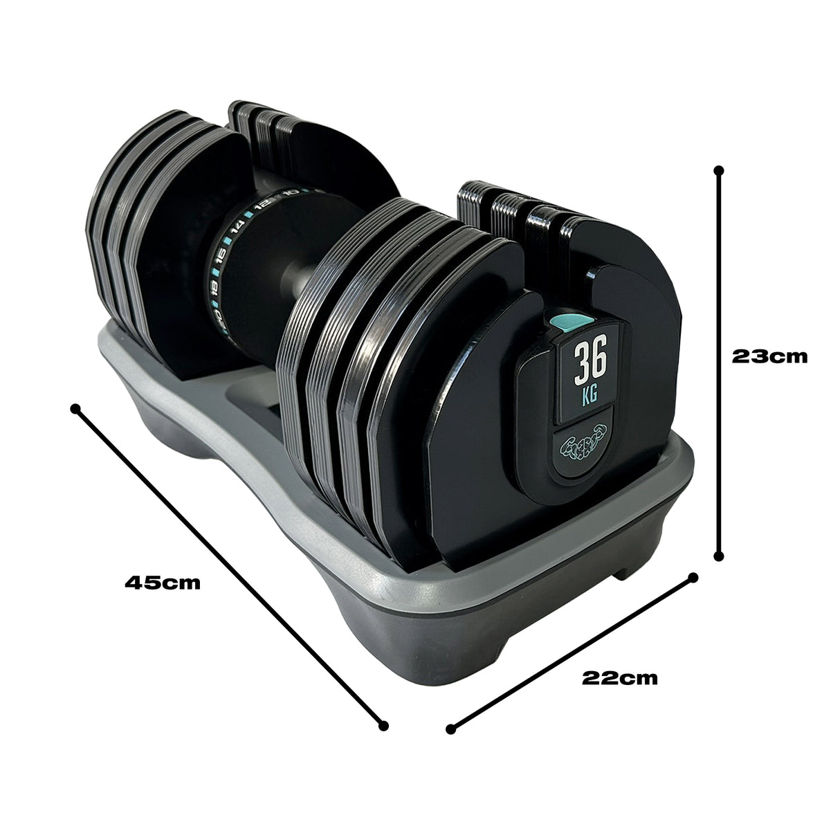 36kg Adjustable Dumbbell (Pair) - 2kg increment